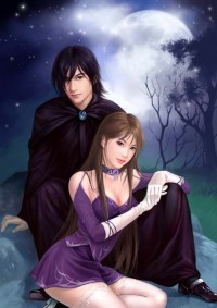 我的冰山總裁未婚妻葉辰蘇夕月