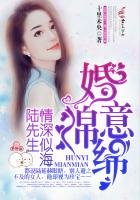婚意綿綿,陸先生情深似海